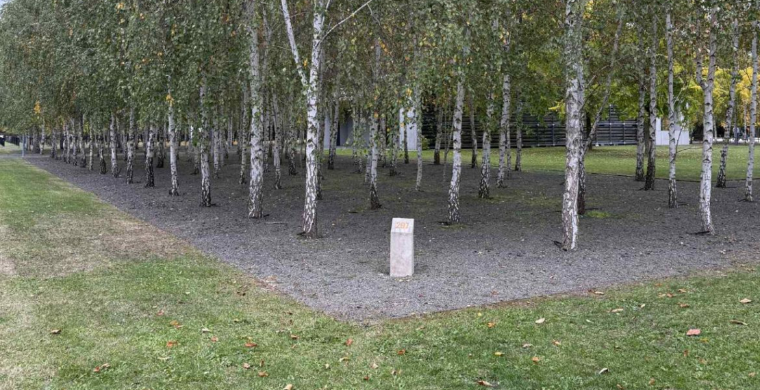 Az 1956-os forradalomra és szabadságharcra emlékeztünk.